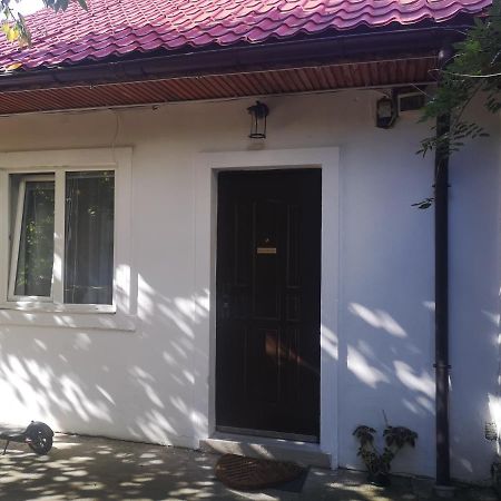 Casa Miron Unirii 3Strada Matei Corvin Apartament ティミショアラ エクステリア 写真