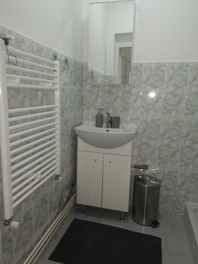 Casa Miron Unirii 3Strada Matei Corvin Apartament ティミショアラ エクステリア 写真