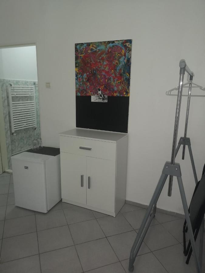Casa Miron Unirii 3Strada Matei Corvin Apartament ティミショアラ エクステリア 写真