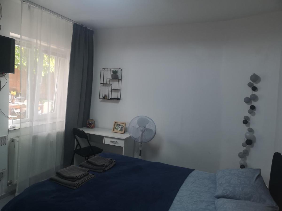 Casa Miron Unirii 3Strada Matei Corvin Apartament ティミショアラ エクステリア 写真