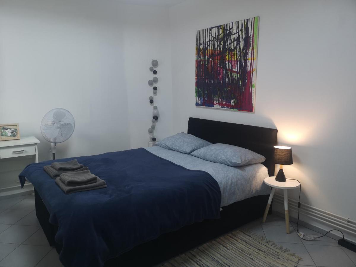 Casa Miron Unirii 3Strada Matei Corvin Apartament ティミショアラ エクステリア 写真